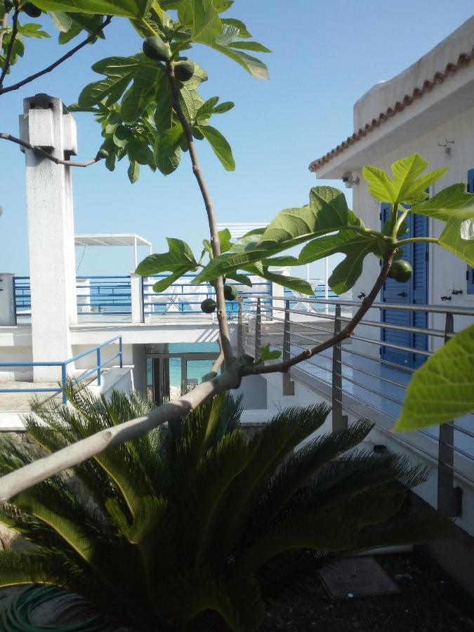 B&B Conca Del Faro Матината Екстериор снимка